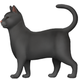 Black Cat, Apple design