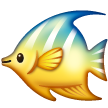 Tropical Fish, Samsung design