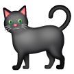 Black Cat, Samsung design