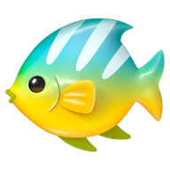 Tropical Fish, Google (after) design