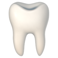 Tooth, Google (after) design