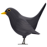 Black Bird, Apple design