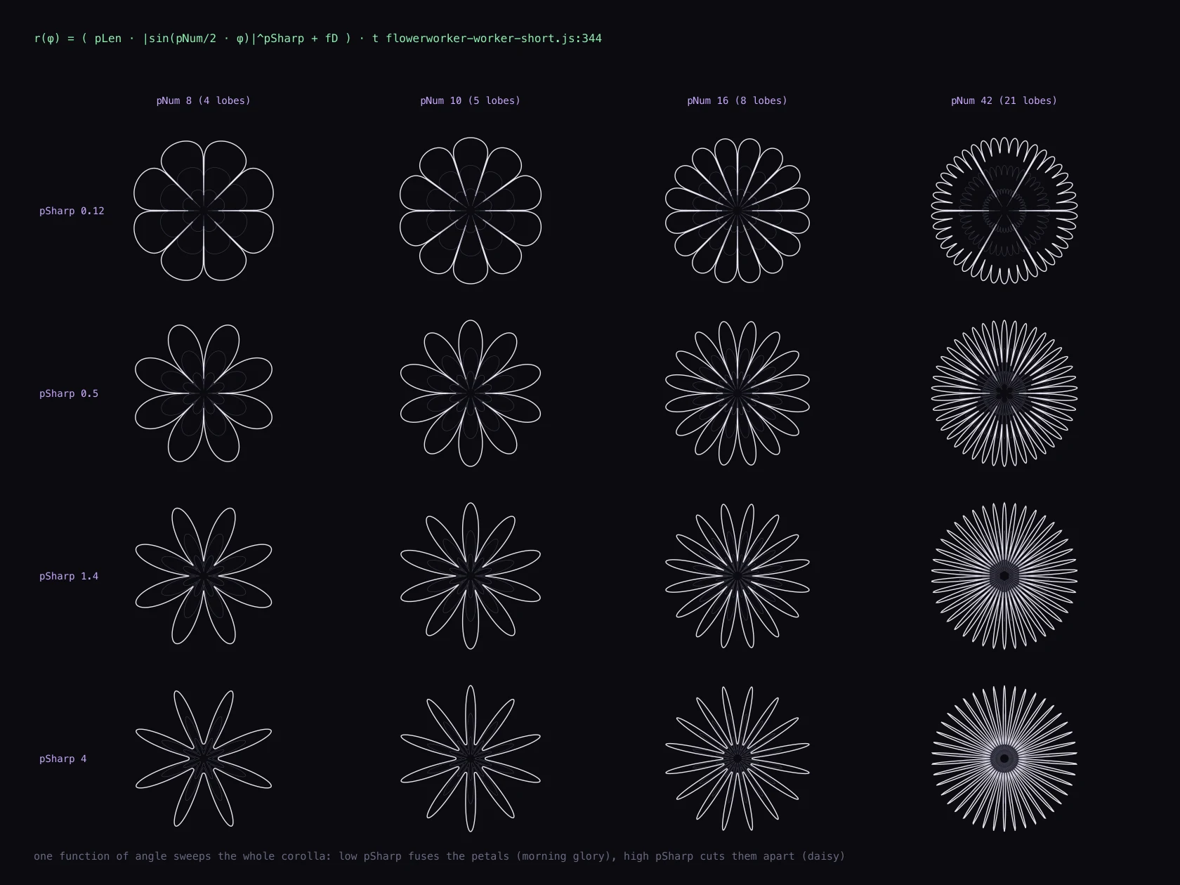 The flat branch: a grid of corolla outlines from one equation, petal count across, sharpness down