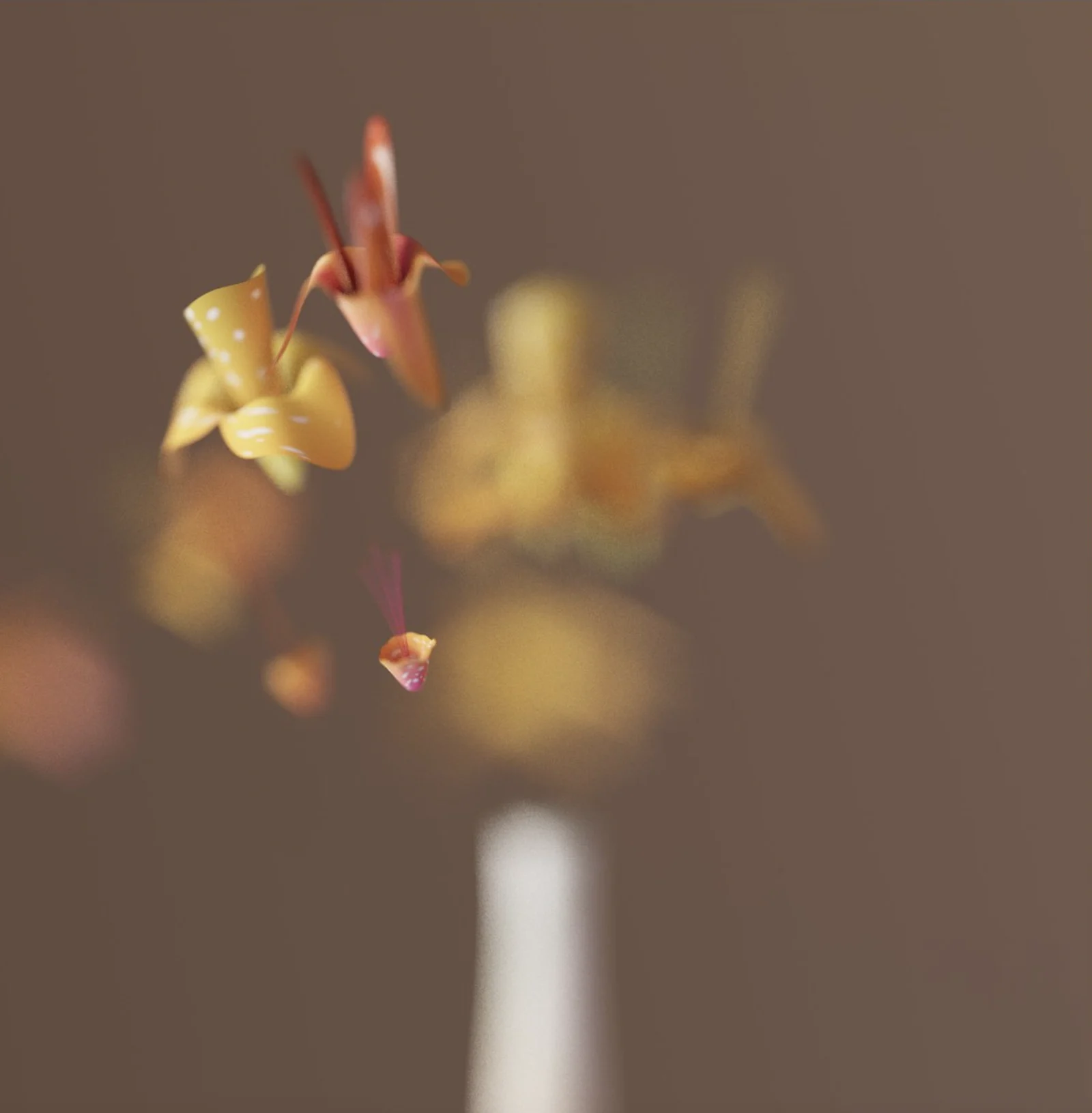 A path-traced frame from the piece: physical depth of field, no compositing